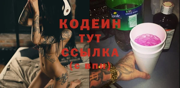 мдпв Краснослободск