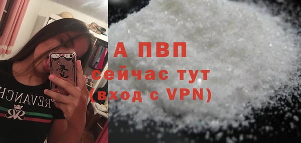 мдпв Краснослободск