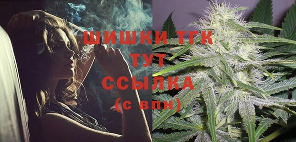 мдпв Краснослободск