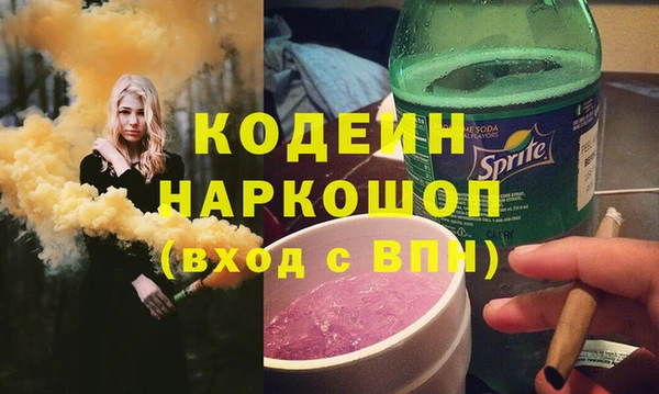 мдпв Краснослободск