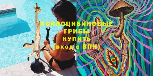 мдпв Краснослободск