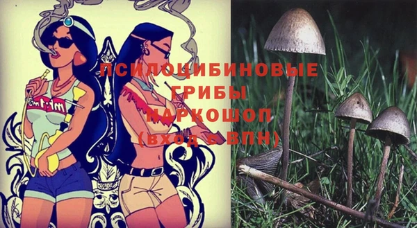 мдпв Краснослободск
