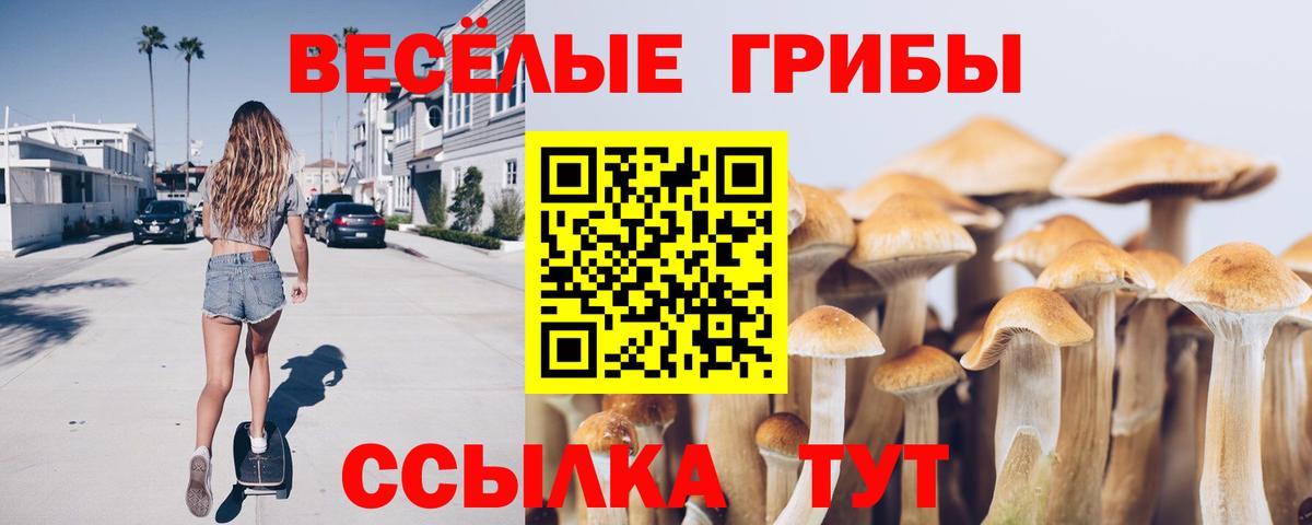 Узловая  Псилоцибиновые грибы ЛСД  Вход с VPN 